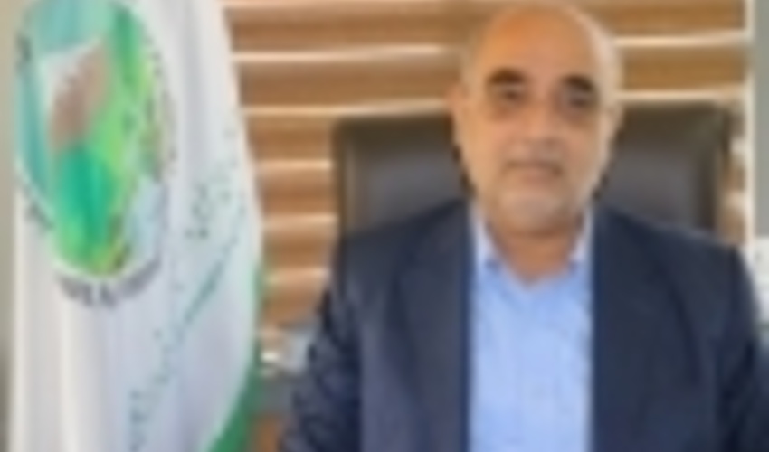 کشت و توسعه حرا در هرمزگان؛ مانگروها نگینی سبز برگردن خلیج فارس 