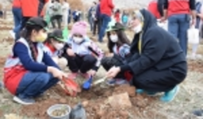 پویش مردمی بذرکاری احیا جنگل‌های زاگرس در کرمانشاه برگزار شد