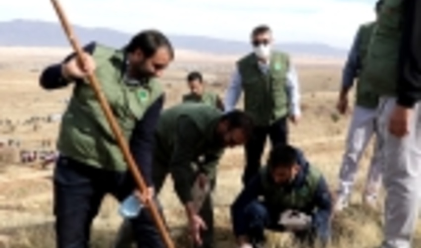 گزارش تصویری/ آغاز پویش مردمی بذرکاری برای احیای جنگل های زاگرس