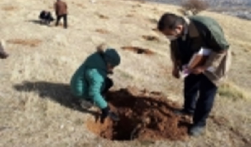 پویش مردمی بذرکاری برای احیای جنگل‌های زاگرس در کردستان آغاز شد