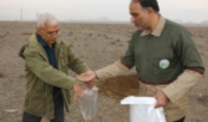 تامین معیشت دو هزار خانواده بهره‌بردار از مراتع استان قم