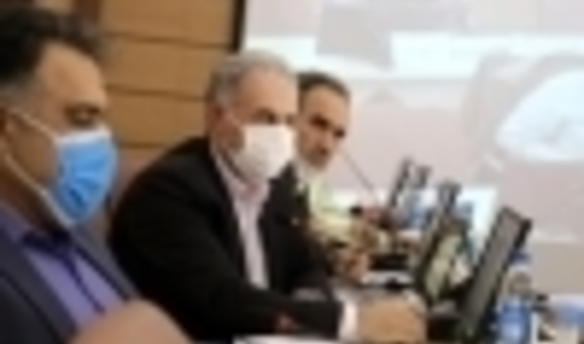 اختصاص ۴ هزار هکتار اراضی کشاورزی ایلام به طرح زراعت چوب