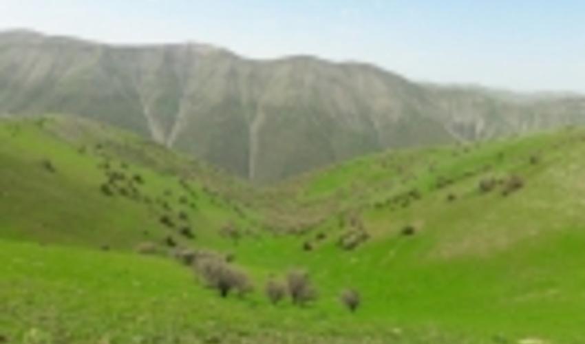 آذربایجان شرقی/ بهره‌برداری از مراتع مجوزدار به وراث منتقل می‌شود