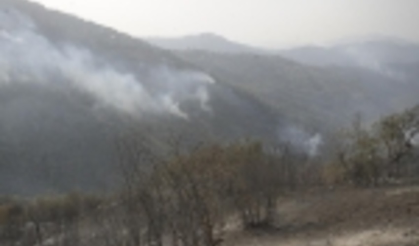 نصب 3 دوربین رصد و پایش حریق در گلستان/ 25 دوربین نیاز است