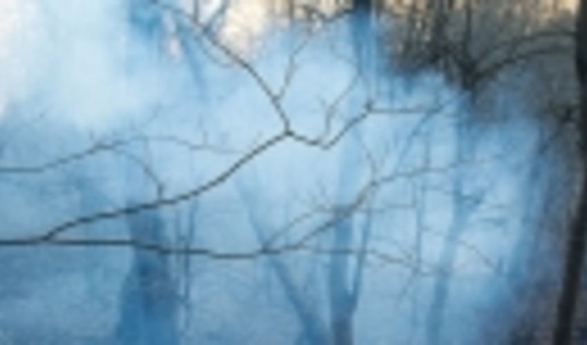 مهار کامل حریق در غرب مازندران