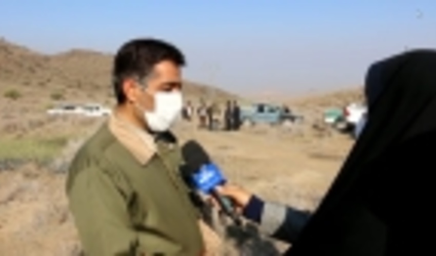 اجرای 200 هکتار عملیات نهال‌کاری با هزینه خیرین در قم