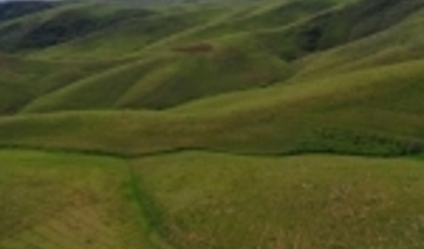 تهران/کاداستر بیش از 2000 هکتار از اراضی ملی شهرستان ری