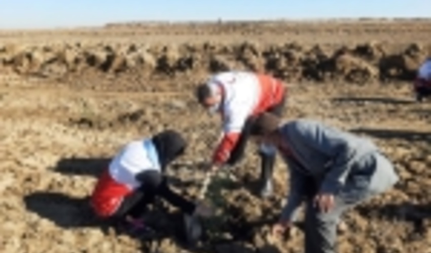 پوشش گیاهی هزار هکتار از اراضی گلستان با کاشت درخت تقویت می‌شود