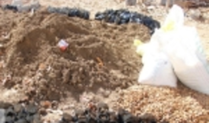 سپاه فتح کهگیلویه و بویراحمد برای احیای جنگلهای زاگرس وارد عمل شد