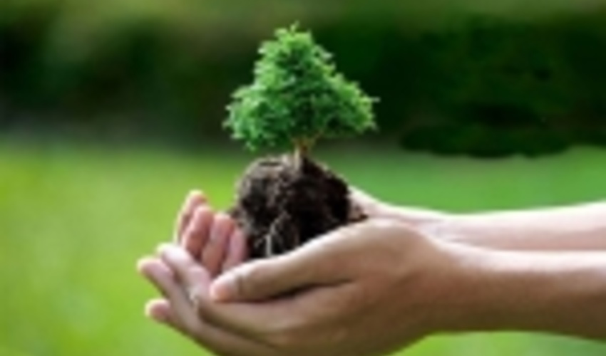 گیلان/ کاشت نهال به یاد شهدا در پارک جنگلی سراوان رشت