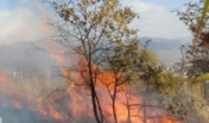 امسال سطح حریق عرصه‌های منابع طبیعی کشور ۴۶ درصد کاهش یافت