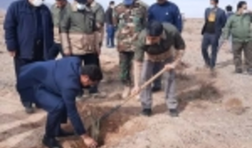 پویش مردمی "ایران قوی، ایران سرسبز" در کرمان آغاز بکار کرد