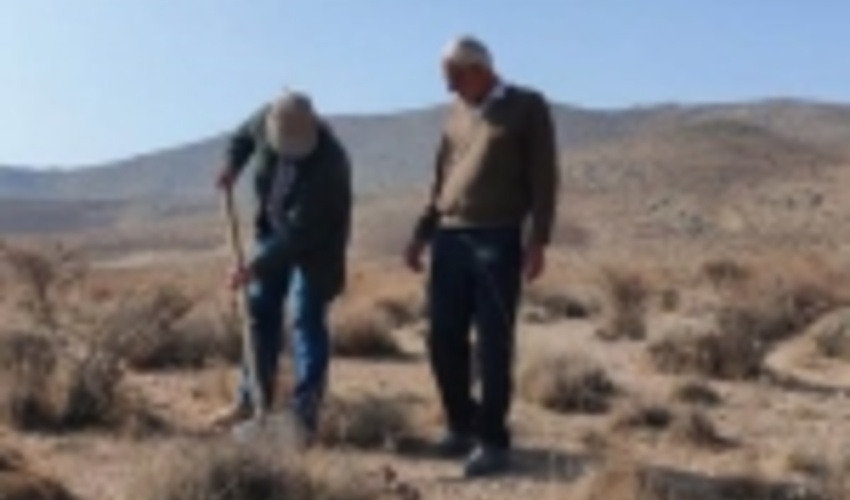 فارس/ آغاز عملیات احیا بیولوژیکی در مراتع سپیدان