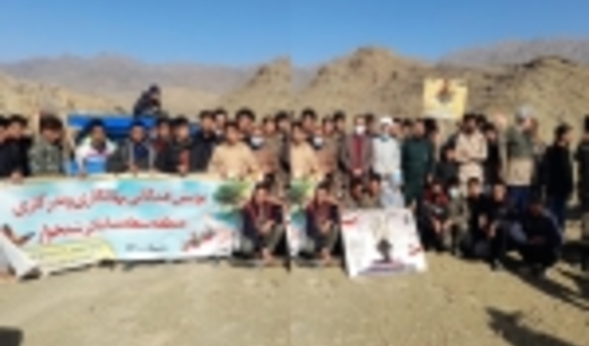 خراسان رضوی/نهالکاری و بذرکاری در ارتفاعات صعب العبور رشتخوار اجرا شد