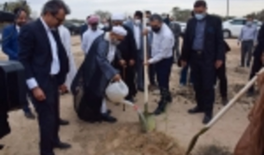 پویش کاشت ۱۲ هزار اصله نهال در کیش آغاز شد