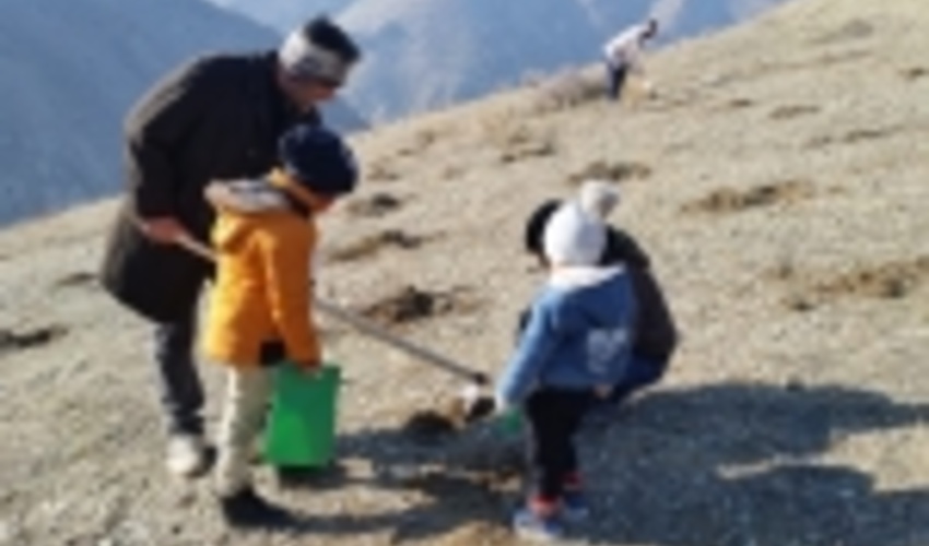 مشارکت مردم در 50 نقطه‌ی تهران برای کاشت بذر و نهال