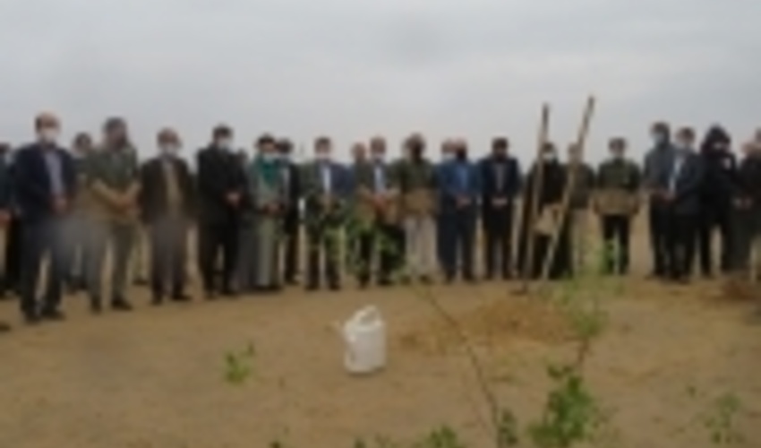 آغاز پویش ایرانی سرسبز با عنوان "هر ایرانی یک درخت" در بوشهر 