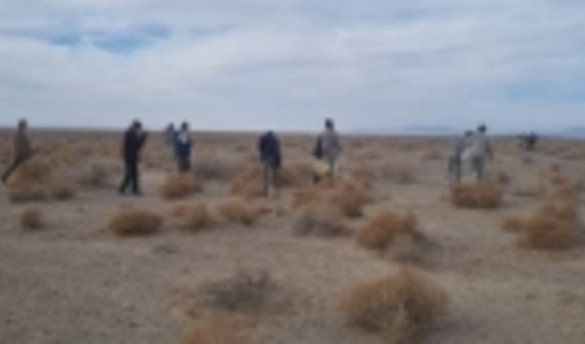 سمنان/یک هزار نهال به نام شهدا با پویش مردمی در شاهرود کاشته می‌شود