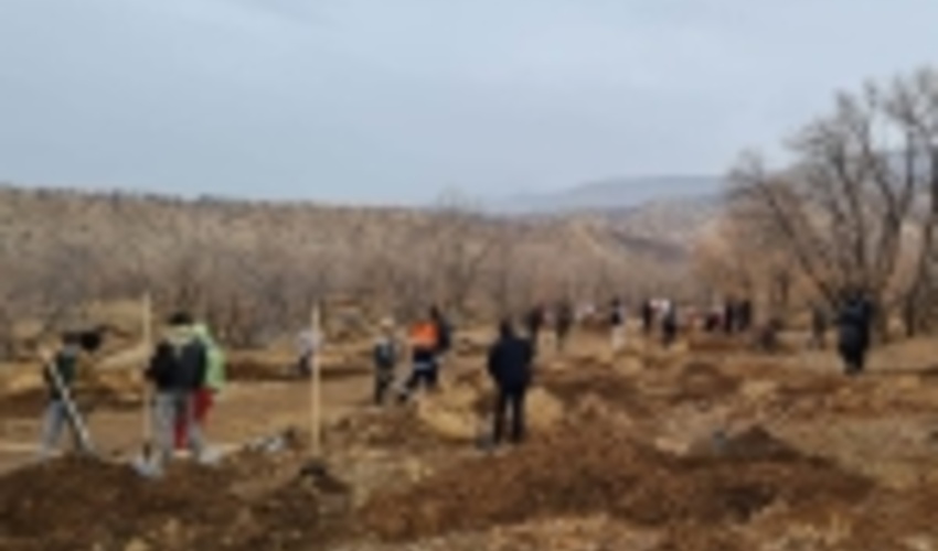 آغاز پویش نهالکاری در استان ایلام همزمان با سراسر کشور