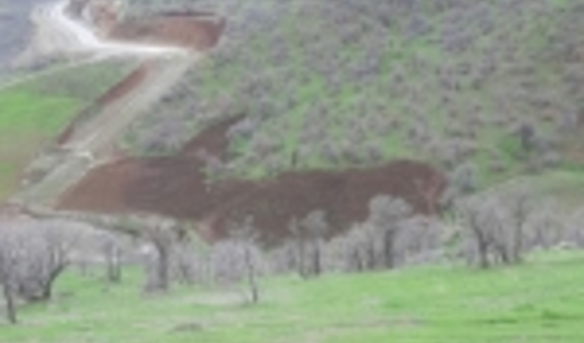 رفع تصرف 568 هکتار از عرصه‌های طبیعی کردستان