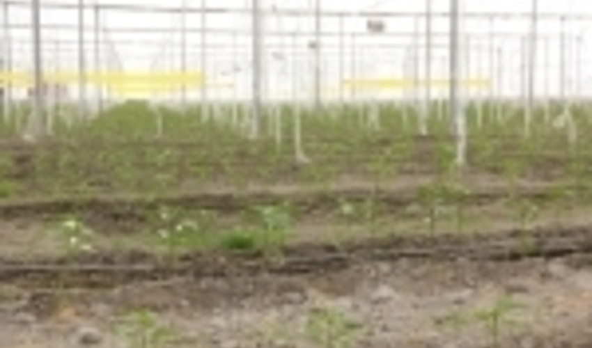 تخصیص ۴۶۷.۸هکتار از عرصه‌های ملی چهارمحال و بختیاری برای احداث مجتمع‌های کشاورزی