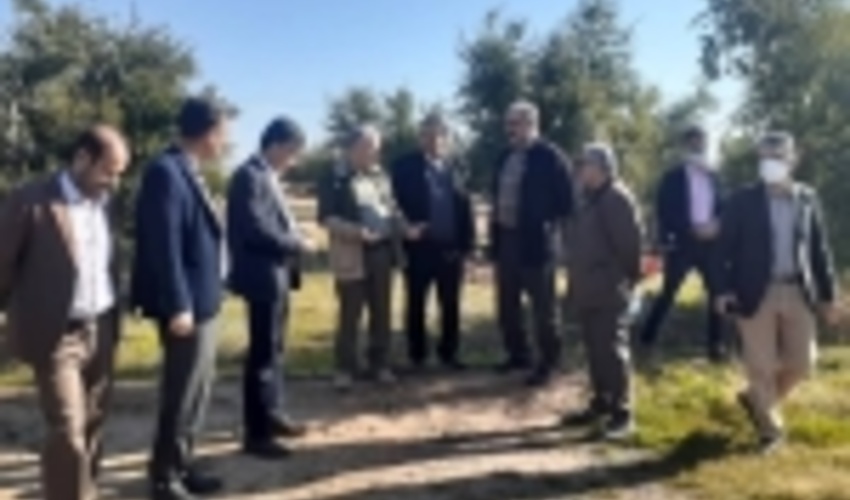 ۵۰ درصد جنگل کاری کشور در استان ایلام انجام می شود