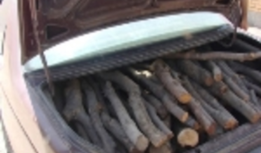 کشف چوب قاچاق در اصفهان