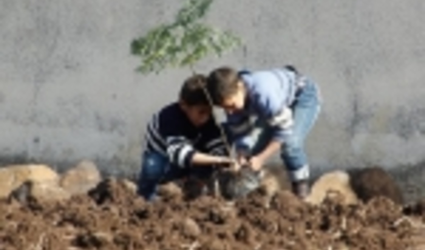 کاشت ۵۰۰ میلیون اصله نهال در پویش ایران سرسبز