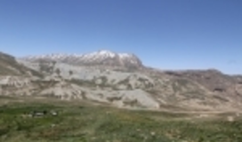 کاهش ۵۰ درصدی کشت گیاهان دارویی در مراتع چهارمحال و بختیاری بر اثر خشکسالی