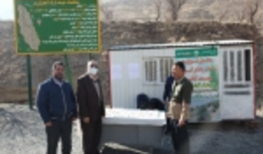 توزیع 2000 نهال در دره گردو اراک