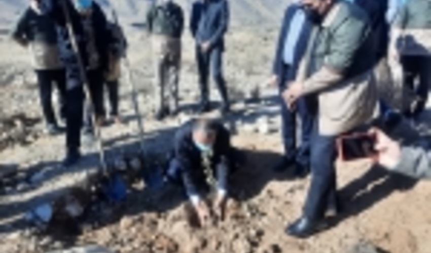  فارس/آغاز عملیات کلنگ زنی طرح جنگل کاری منطقه چاتیز بخش مرکزی شهرستان جهرم