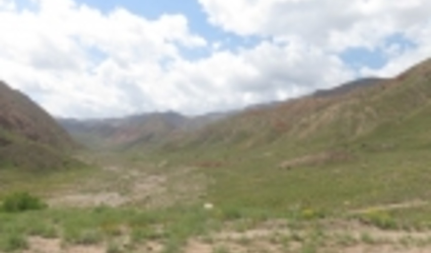 آذربایجان غربی/ رفع تصرف 40 هکتار از اراضی ملی اشنویه 