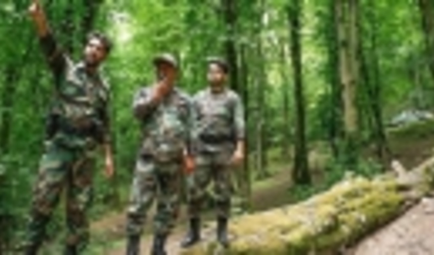 درخواست جنگلبانی از دستگاه قضا: با عاملین حمله به جنگلبانان برخورد جدی شود