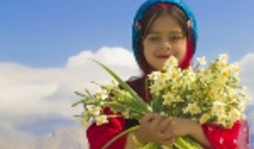 همه در بهار می رویند اما تو در زمستان!