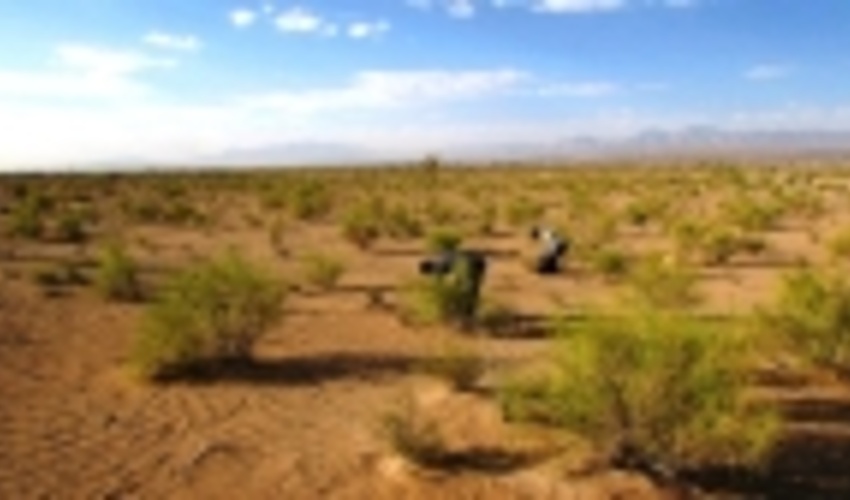 افتتاح ۱۲ طرح منابع طبیعی وآبخیزداری استان سمنان در دهه فجر