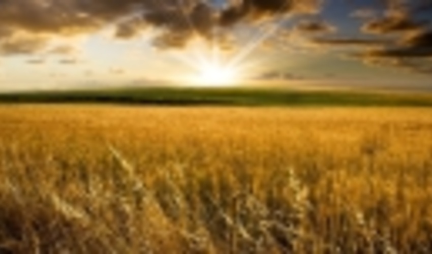 برنامه‌های منابع طبیعی برای کشت در اراضی ملی در خراسان‌جنوبی