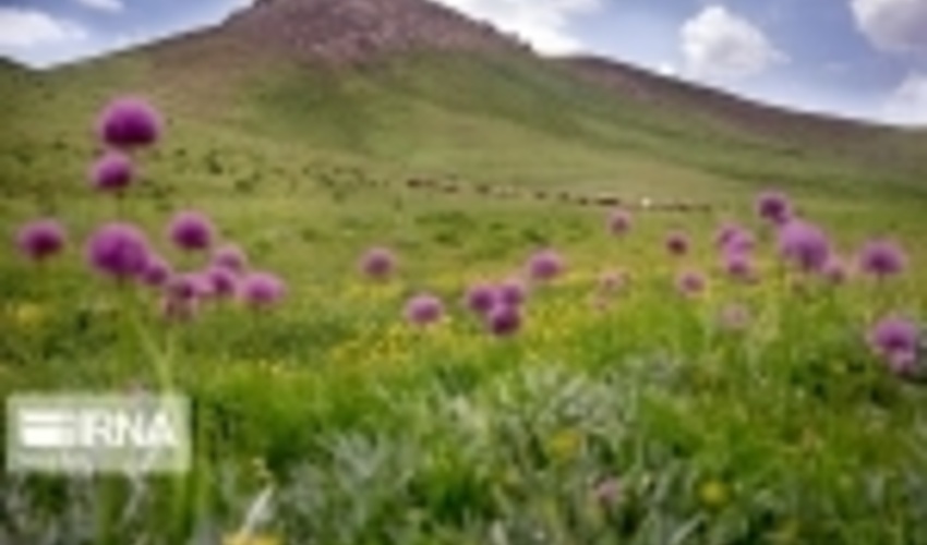 سمنان / ۱۰۰ هکتار عرصه‌های منابع طبیعیِ آسیب‌دیده از معدنکاری احیا می‌شود