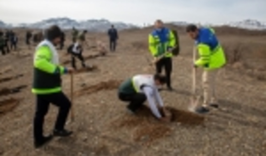 نهال‌کاری به مناسبت دهه فجر در قم