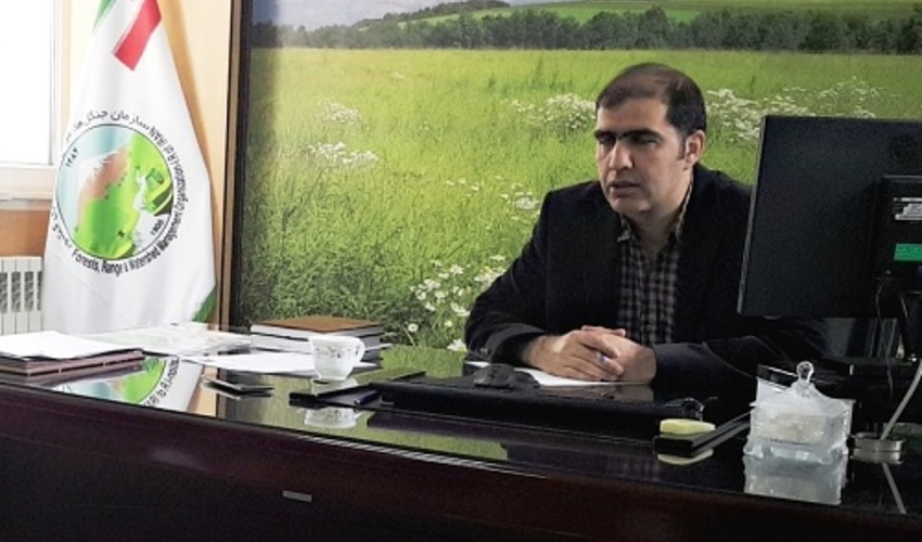 توزیع ۵۵۰ هزار اصله نهال به مناسبت روز درختکاری در زنجان