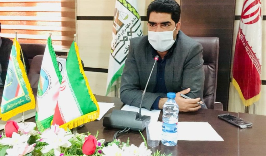 توزیع رایگان ۵۰ هزار اصله نهال در هفته منابع طبیعی در جنوب کرمان