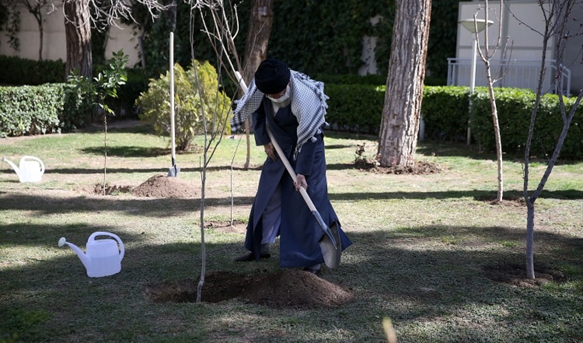 رهبر انقلاب: تخریب جنگلها و محیط زیست و پوشش‌های گیاهی تخریب منافع ملی است