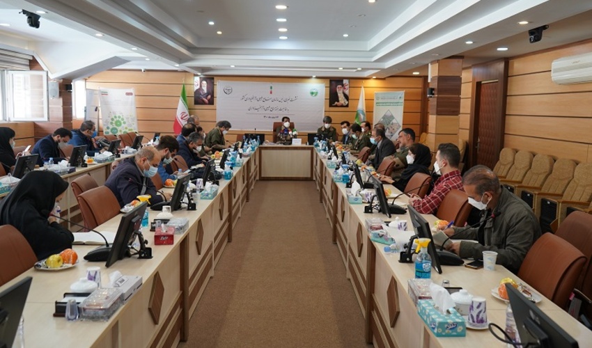 تولید ۱۰.۵ میلیون تن علوفه در مراتع کشور