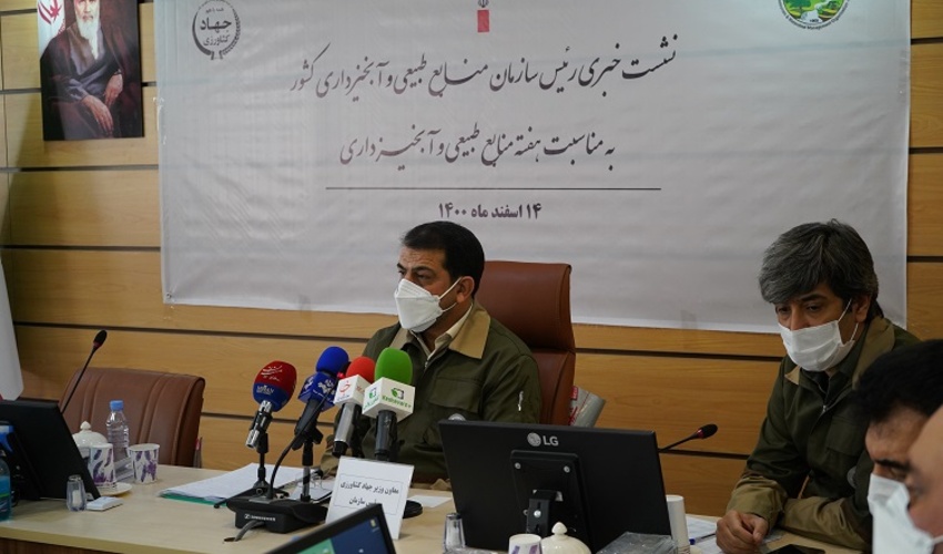 ایجاد اشتغال برای پنج نفر به ازای هر هکتار زراعت چوب