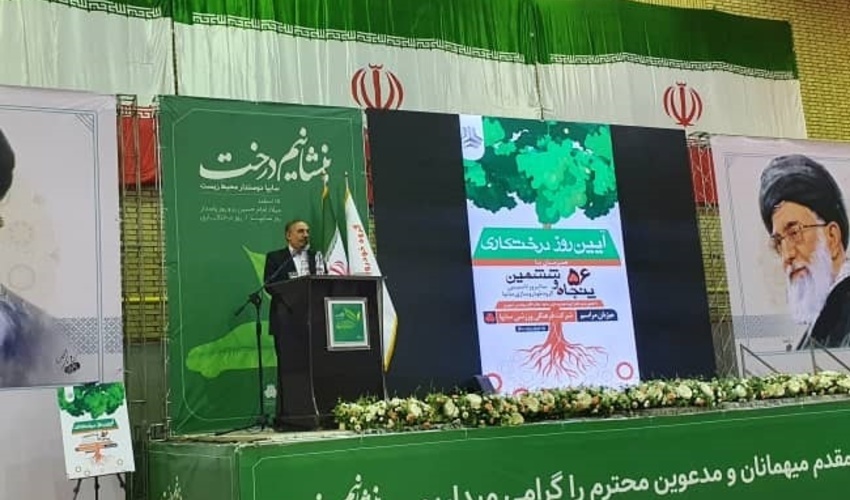 سازمان منابع طبیعی روز درختکاری تنها نبود!