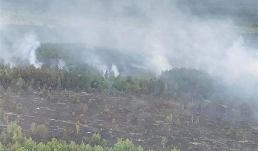 کاهش بیش از 400 درصد حریق در اراضی منابع طبیعی استان بوشهر 