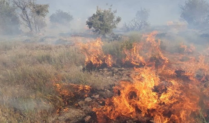 ته سیگار 15 هکتار بستر رودخانه ارس را آتش زد/ 4 گردشگر بازداشت شدند