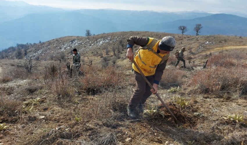 هزینه یادبود پدری که صرف احیای پوشش گیاهی زیستگاه پلنگ شد