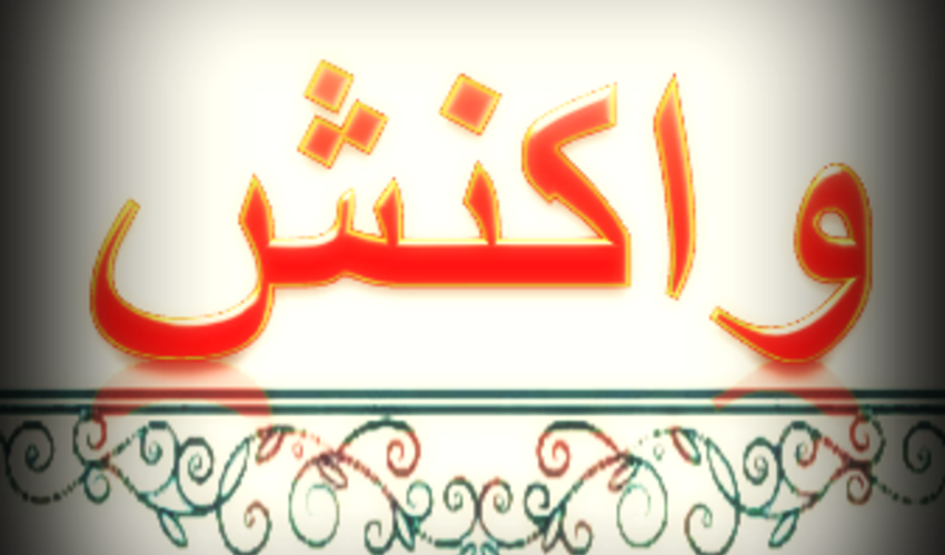 بعضی ها نمی دانند از این دنیا چه می خواهند؟!