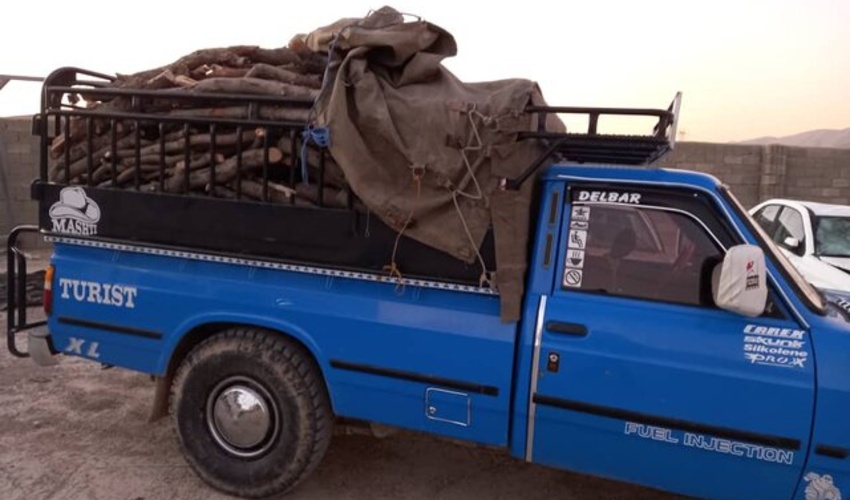 فارس/ محکومیت اعضای باند قاچاق محصولات جنگلی در کازرون