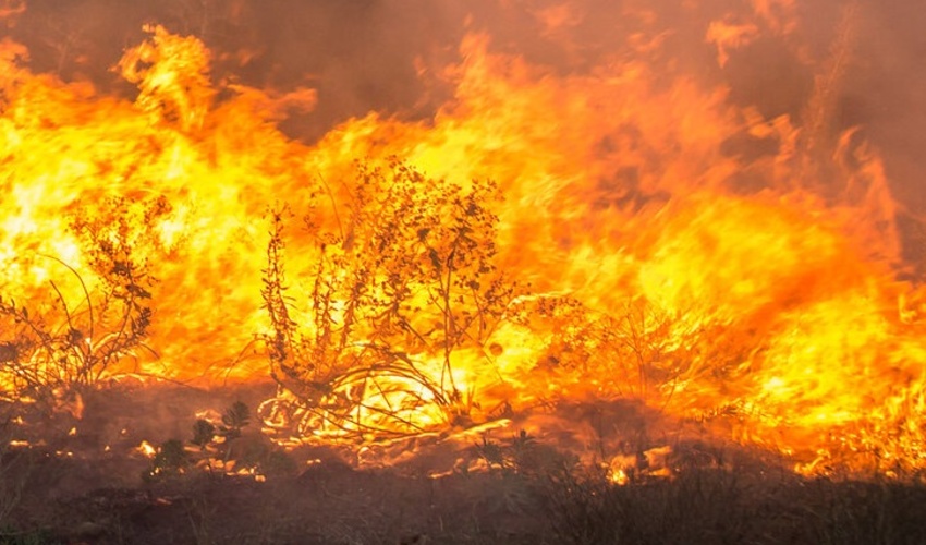 جنوب کرمان/ اطفاء حریق های احتمالی عرصه های منابع طبیعی نیازمند همکاری همه ارگان ها